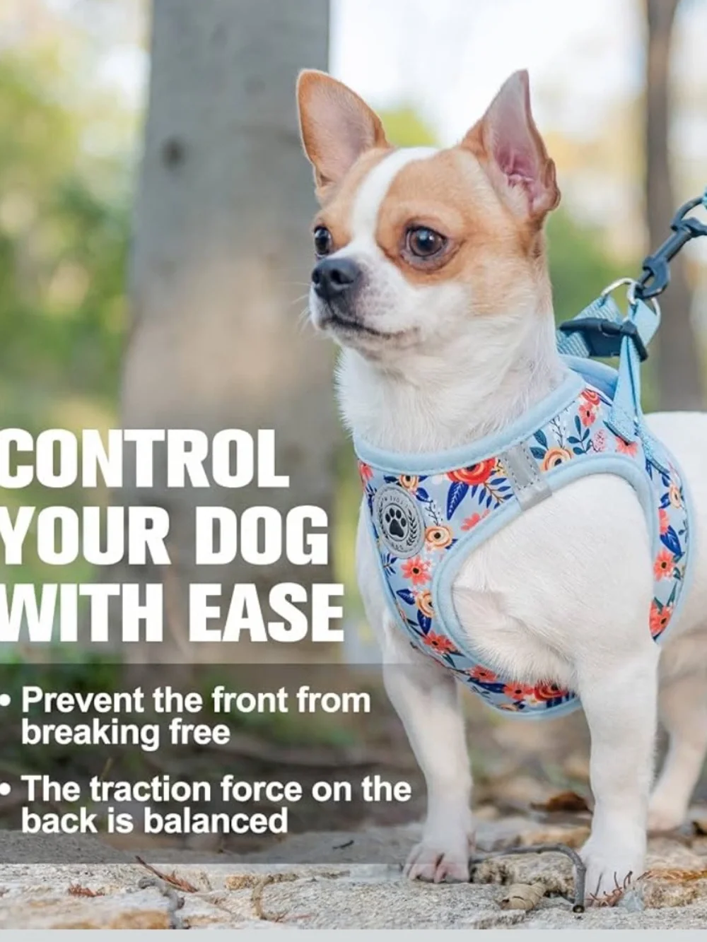 Small Dog Harness and Leash Set, No Pull Puppy Pet Vest- Floral,S